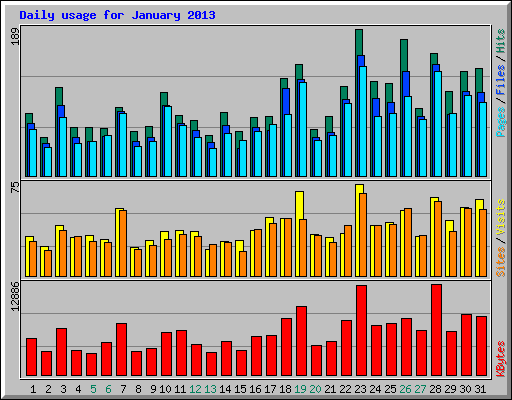 Daily usage for January 2013