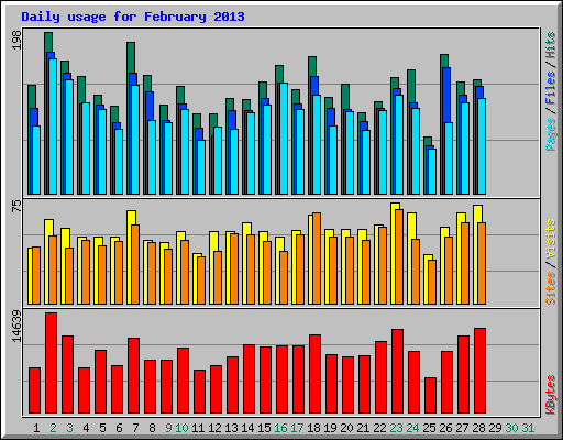 Daily usage for February 2013