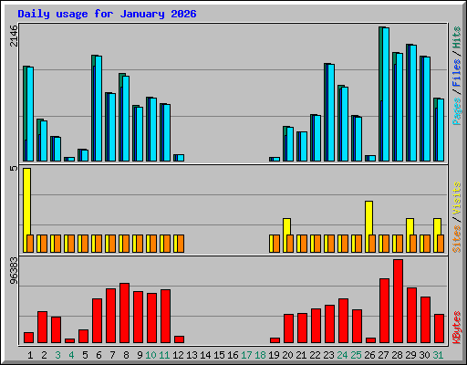 Daily usage for January 2026