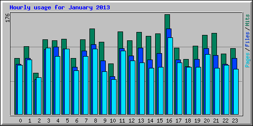 Hourly usage for January 2013