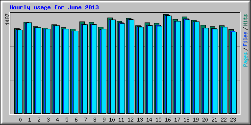 Hourly usage for June 2013