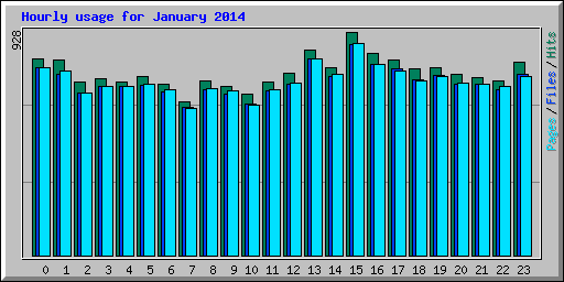 Hourly usage for January 2014