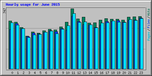 Hourly usage for June 2015