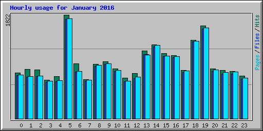 Hourly usage for January 2016