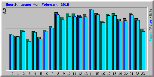 Hourly usage for February 2016