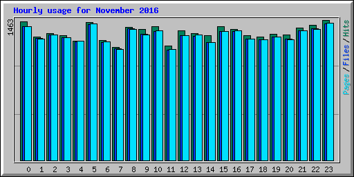 Hourly usage for November 2016