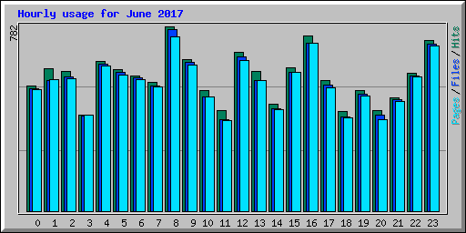 Hourly usage for June 2017