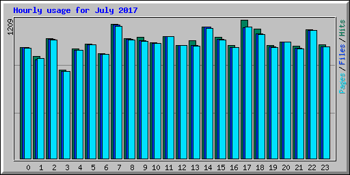 Hourly usage for July 2017