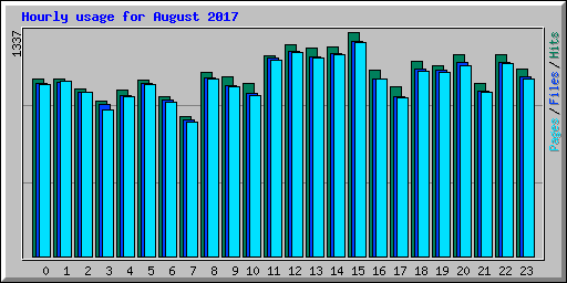 Hourly usage for August 2017