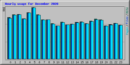 Hourly usage for December 2020