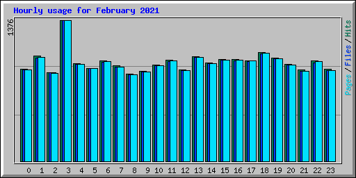 Hourly usage for February 2021