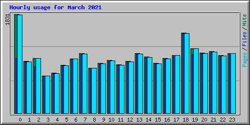 Hourly usage for March 2021