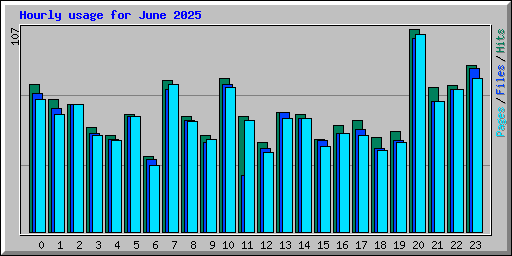 Hourly usage for June 2025
