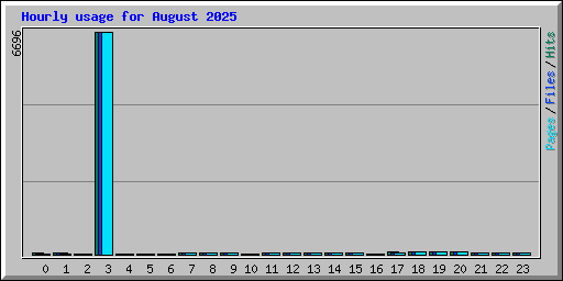 Hourly usage for August 2025