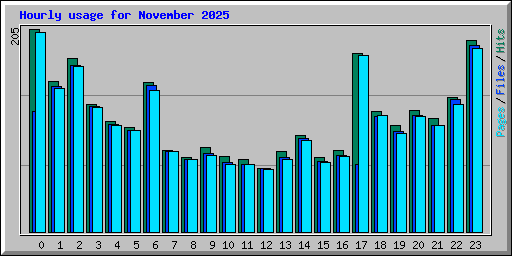 Hourly usage for November 2025