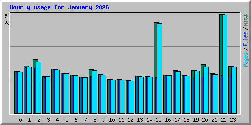 Hourly usage for January 2026
