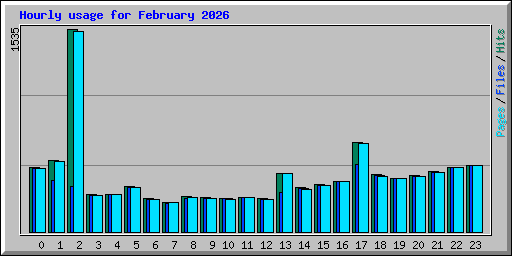 Hourly usage for February 2026